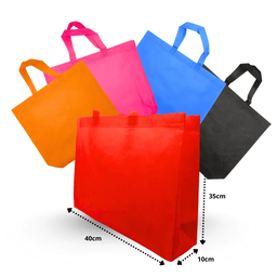 Bolsa Ecologica Con asas 40x30x10cm